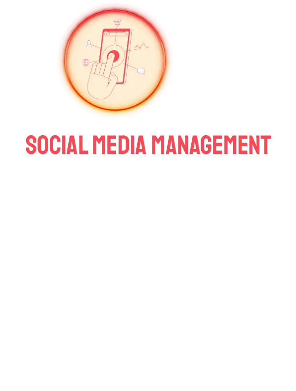 Social Media Management