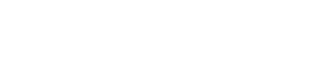 Savvy Logo